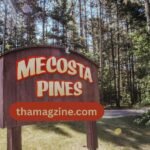 mecosta pines
