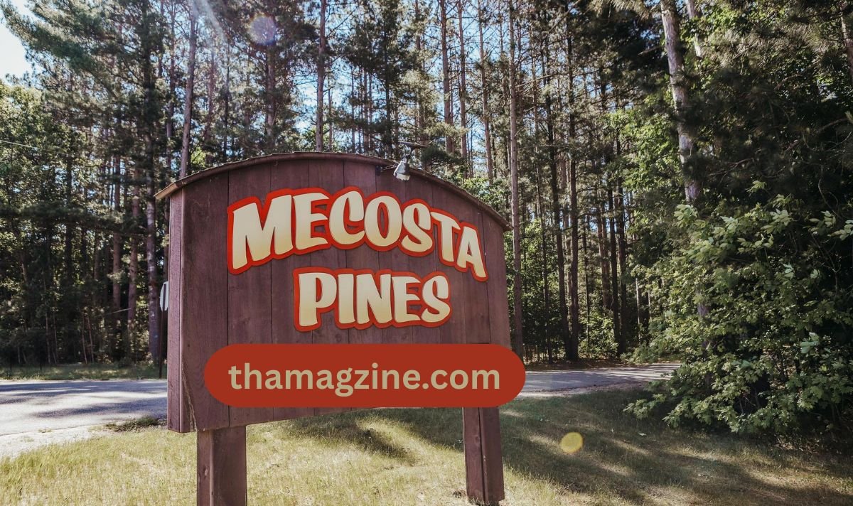 mecosta pines