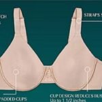 vanity fair bras
