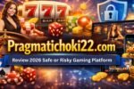 pragmatichoki22 .com