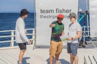 team tony thestripesblog