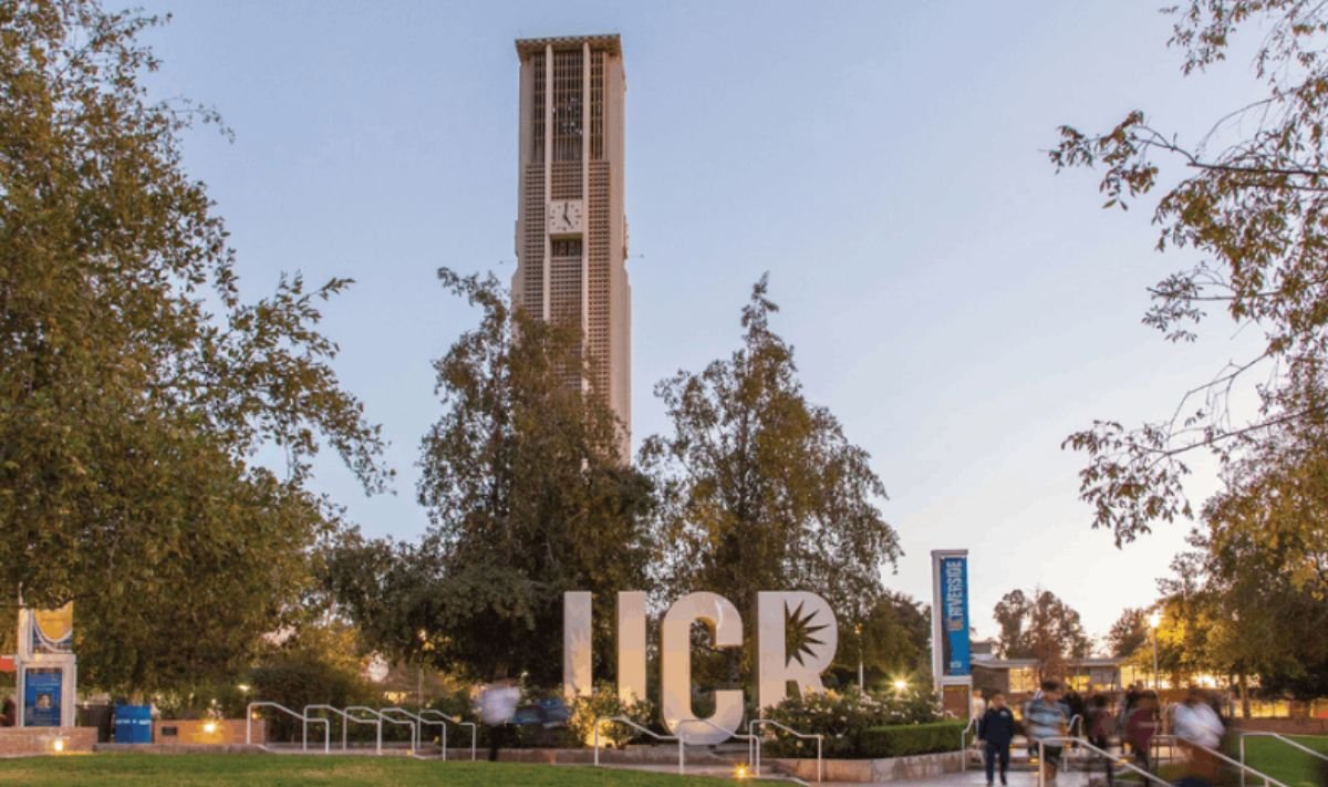 UCR Adjustment