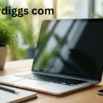 simplifydiggs com